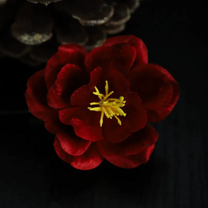 Vintage Brooch| Vermilion Blossom